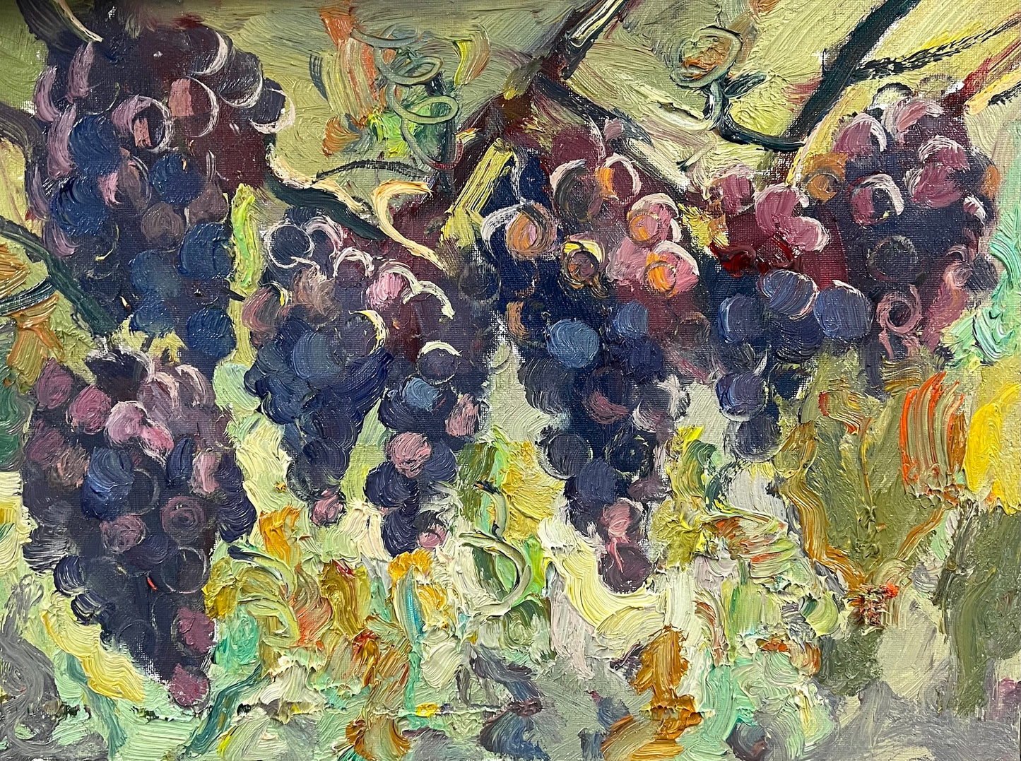 Chianti Grapes