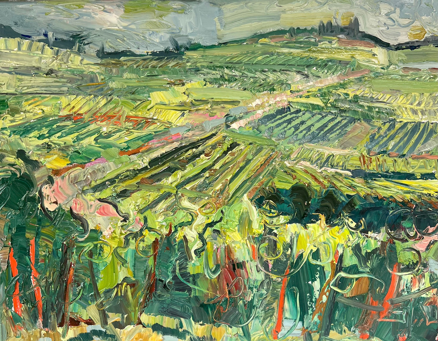 Colorful Vines in Tuscan Region