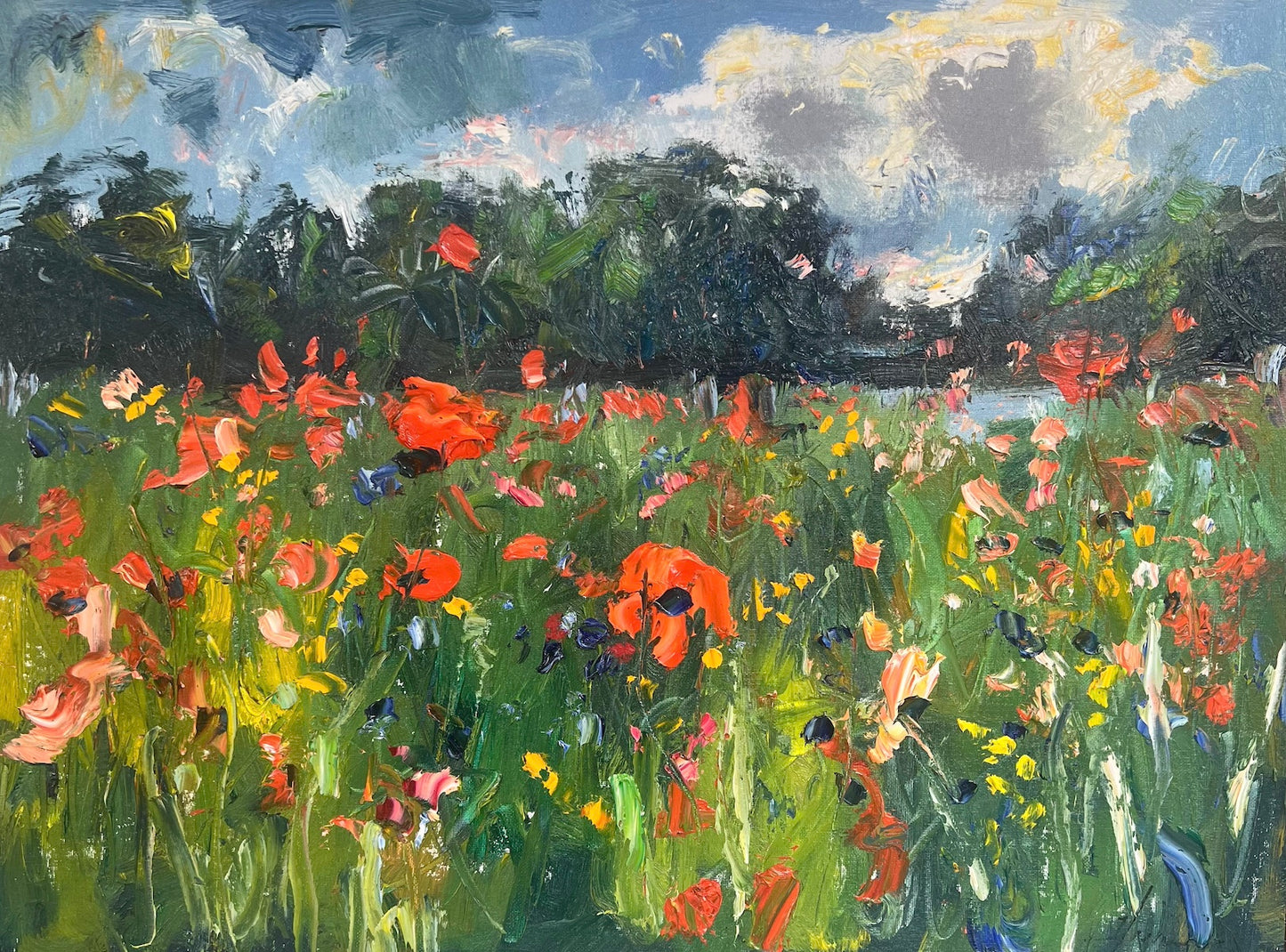 Fennville Poppies