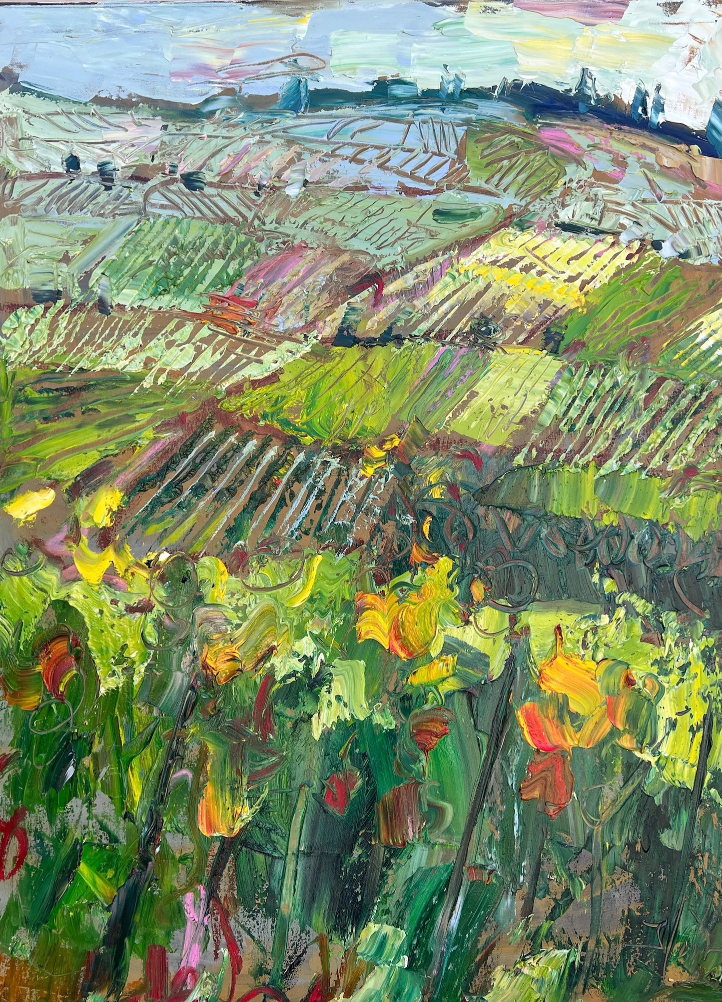 Italian Countryside with Vines