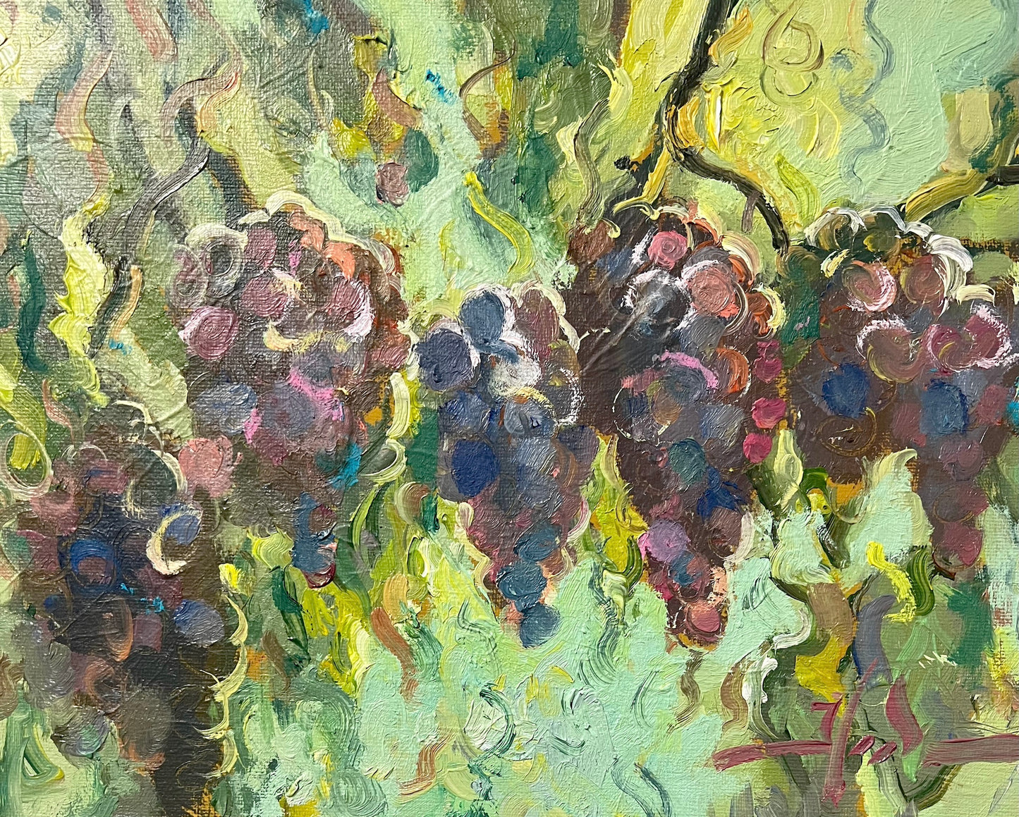 Italian Grapes II