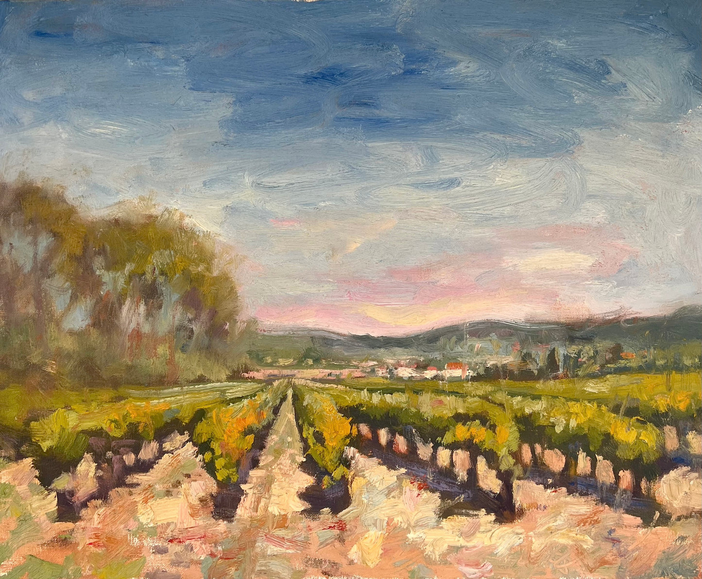 Napa Valley Vines