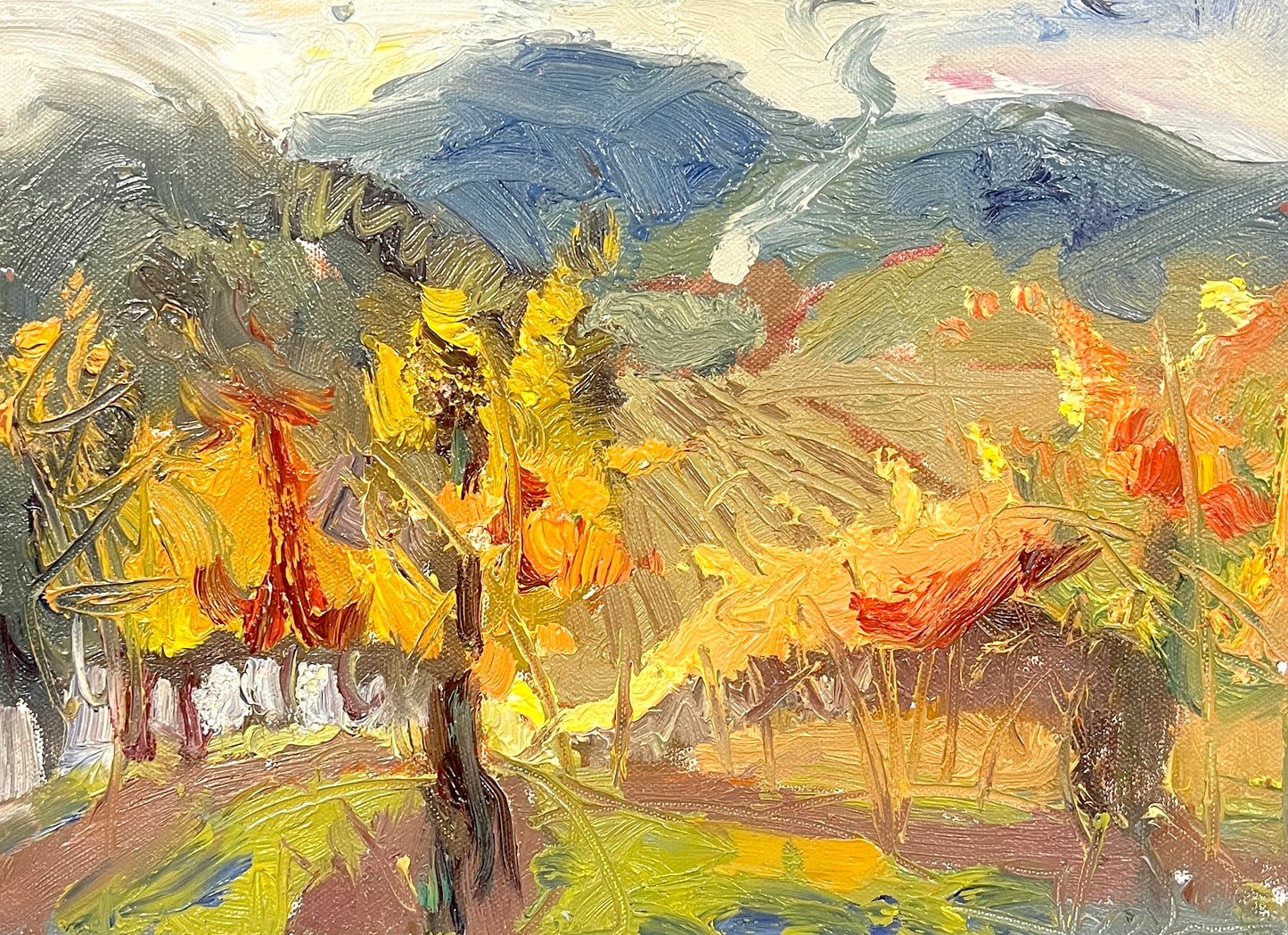 Sonoma Plein Air - View from Kokomo Winery on the Hill