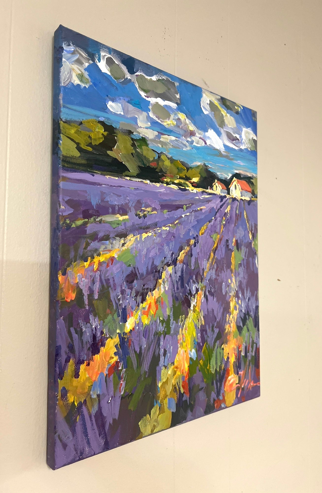 Provence in Lavender