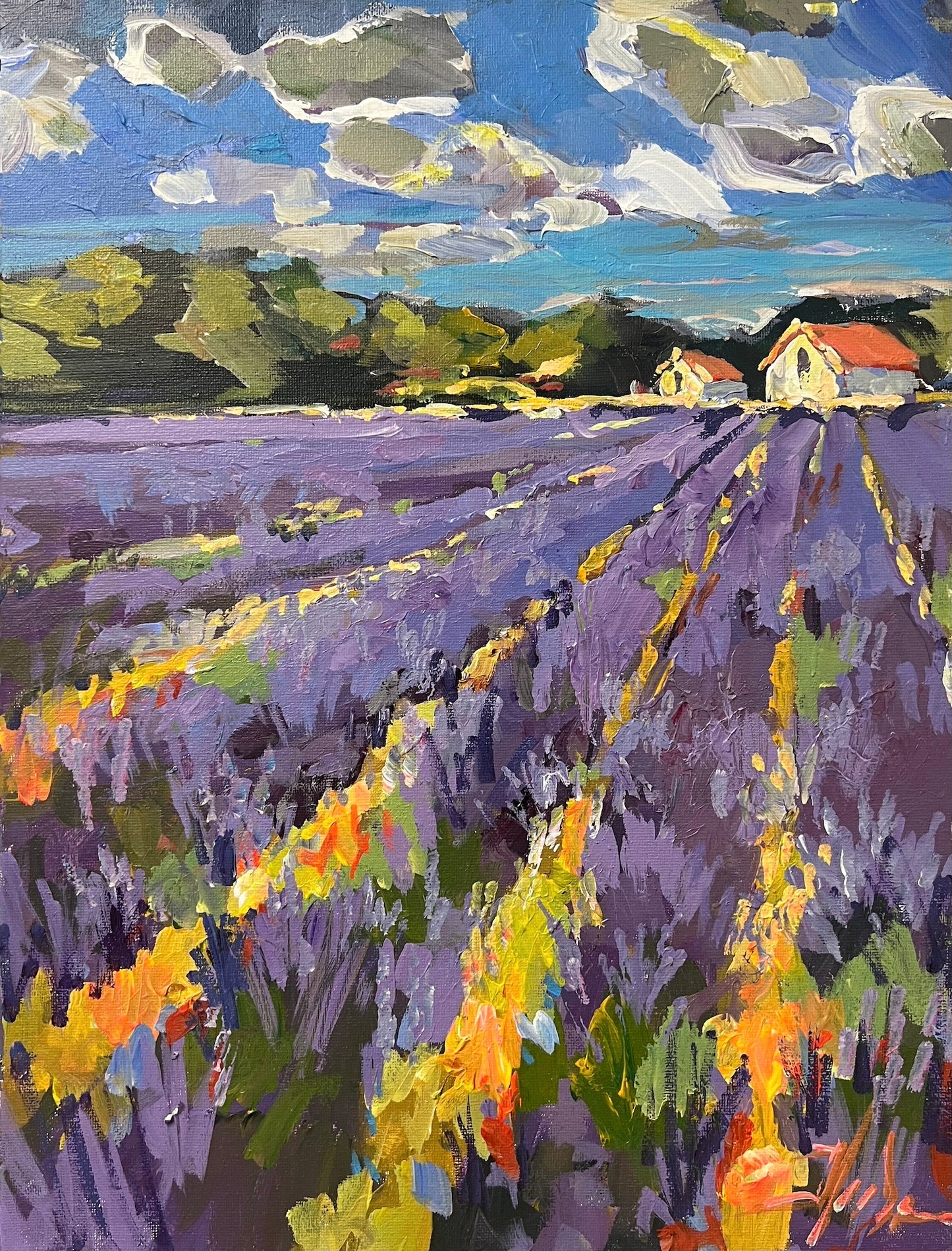 Provence in Lavender