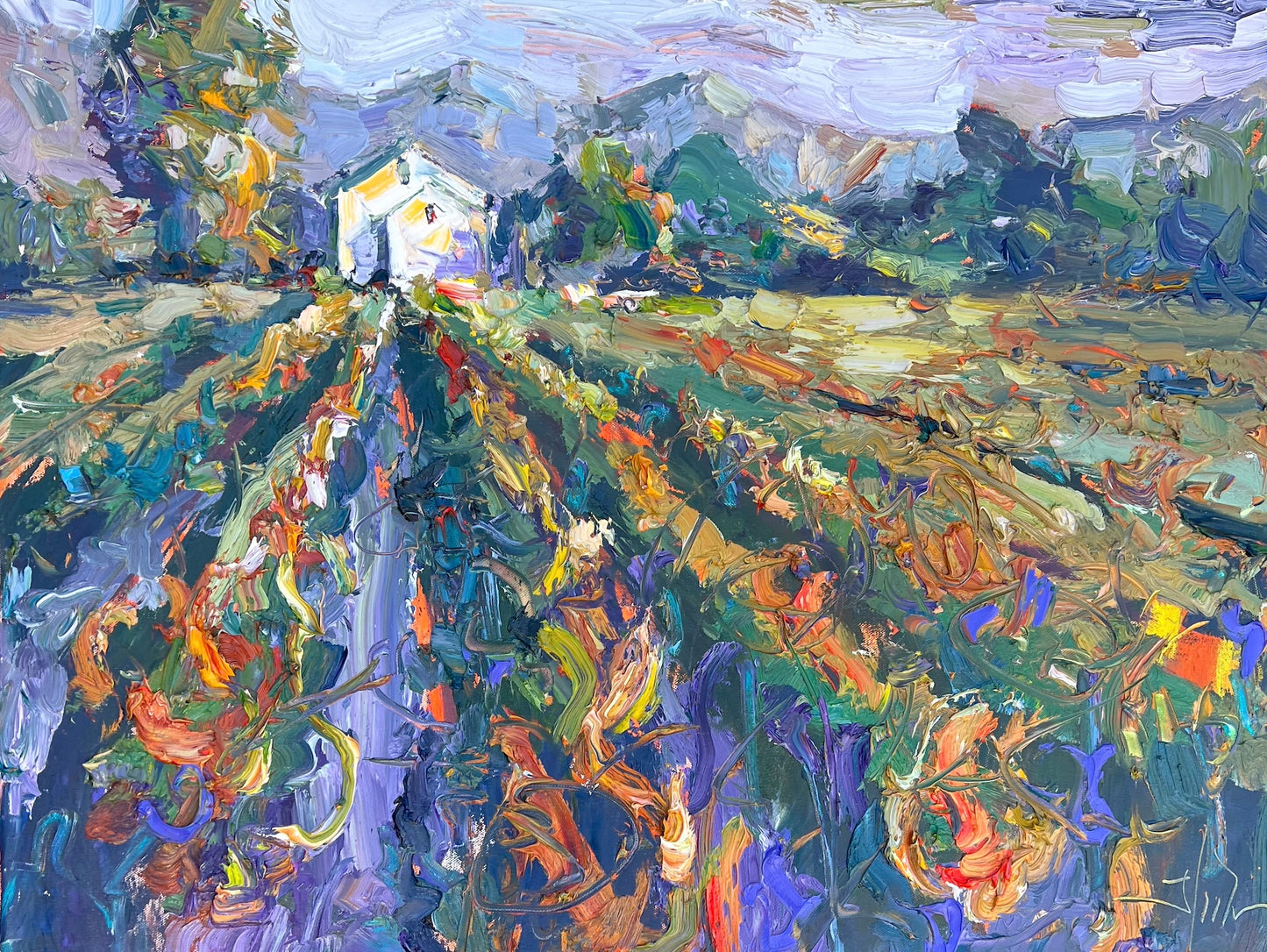 Sonoma Sunset with Vines