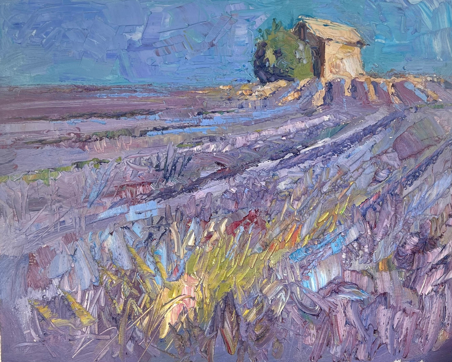 Sunny Lavender