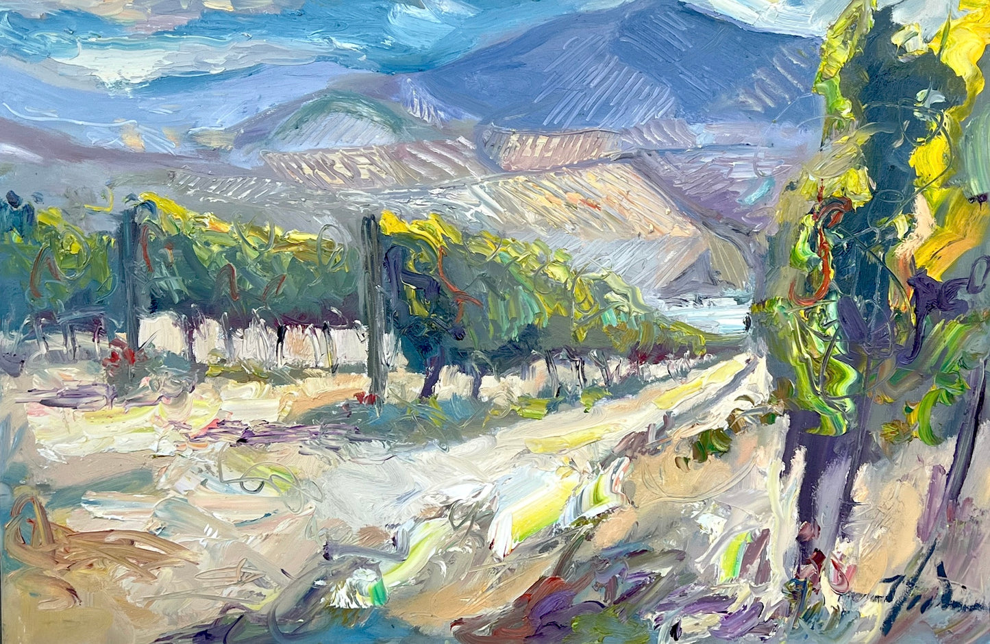 Tuscan Vineyard