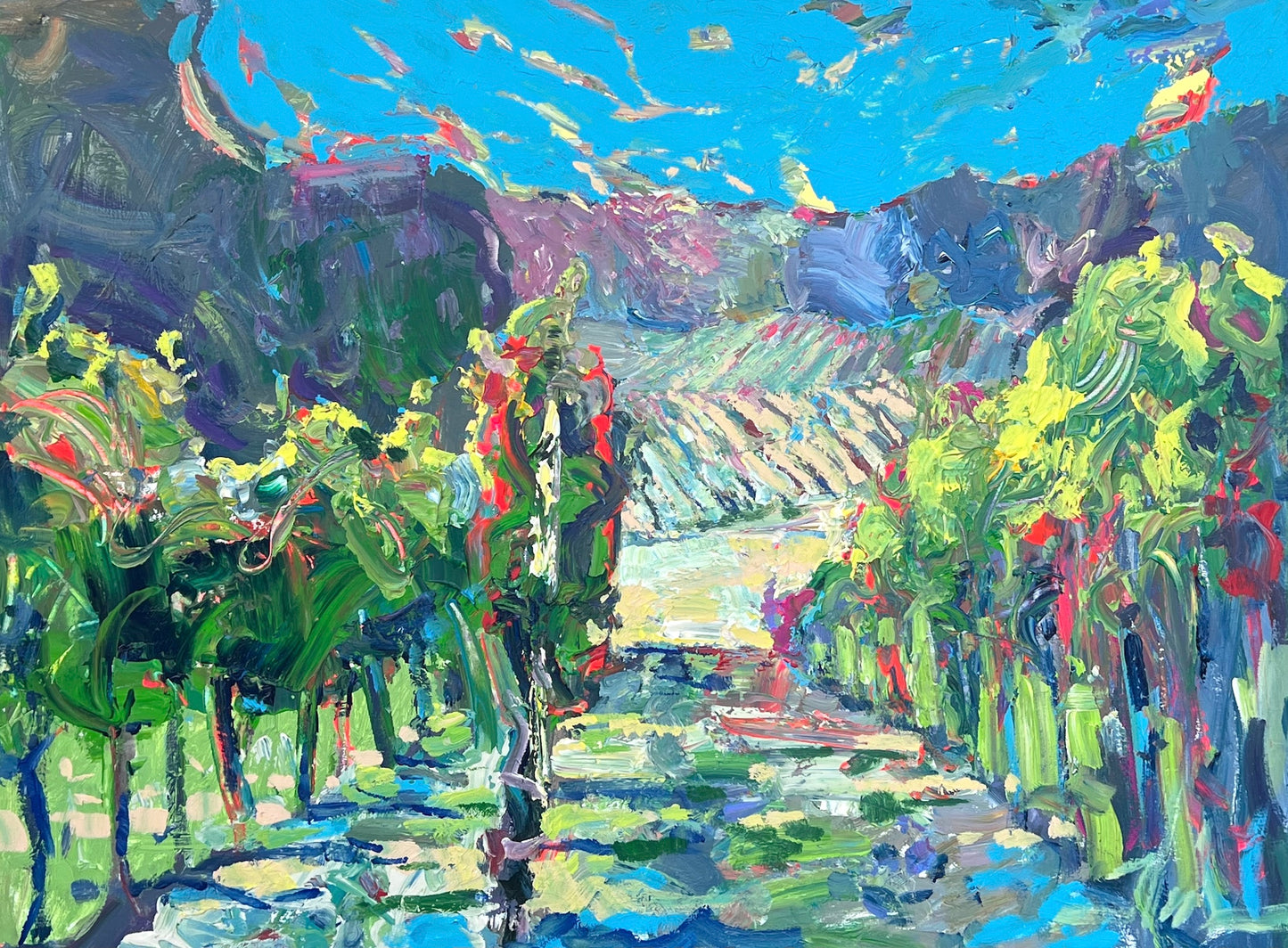 Vineyard on the Hill - Sonoma Valley
