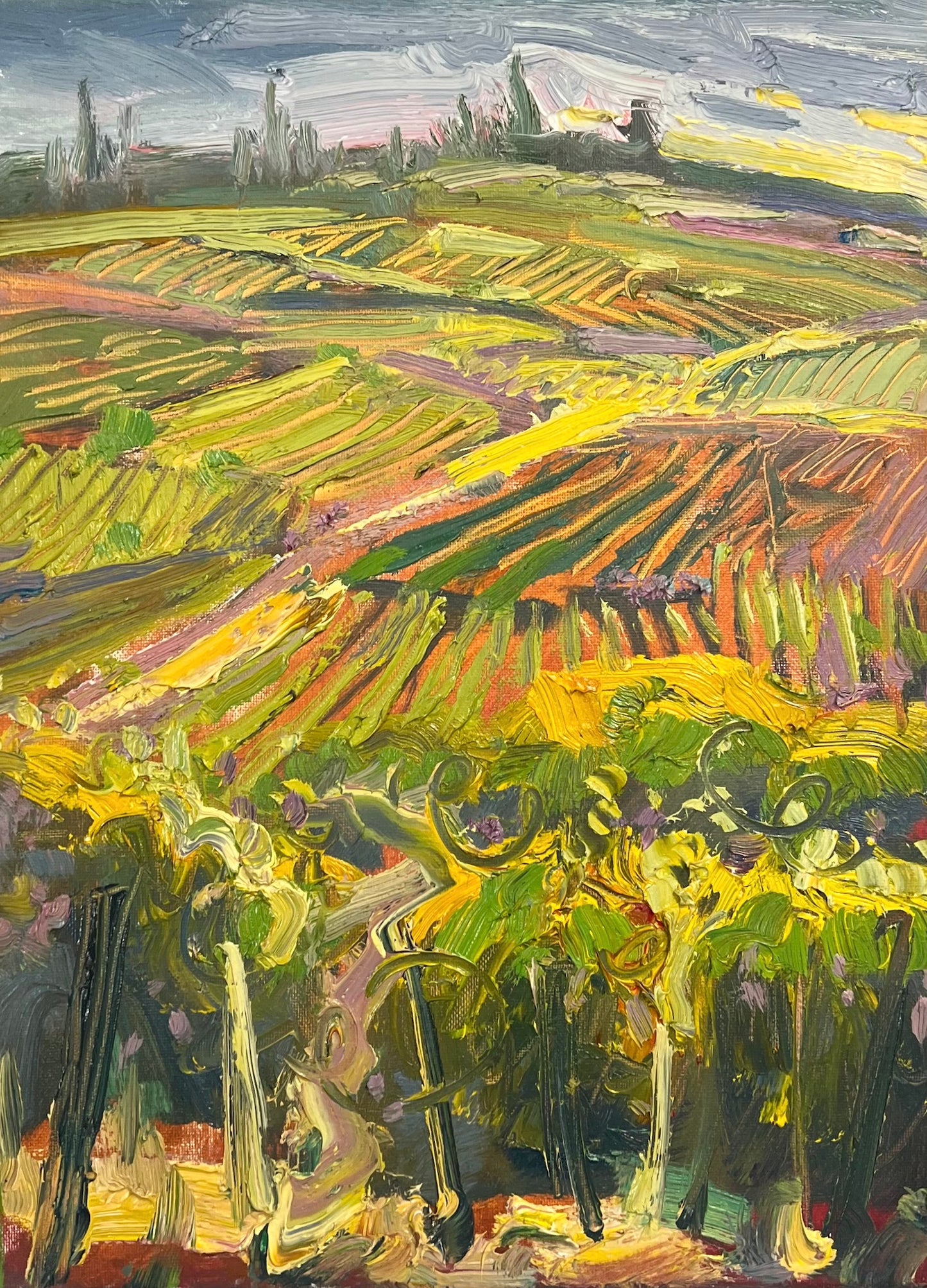 Italian Vines in Chianti