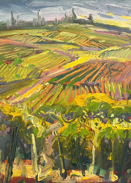 Italian Vines in Chianti