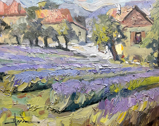 Lavender in France