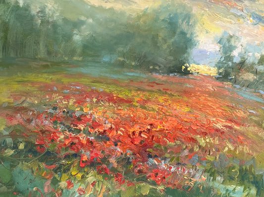 Magical Morning Poppies