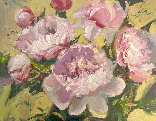 Peonies in Spring