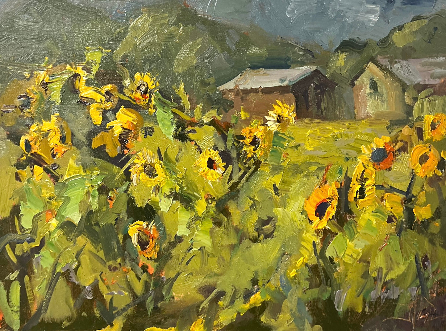 Sunflowers on the Farm