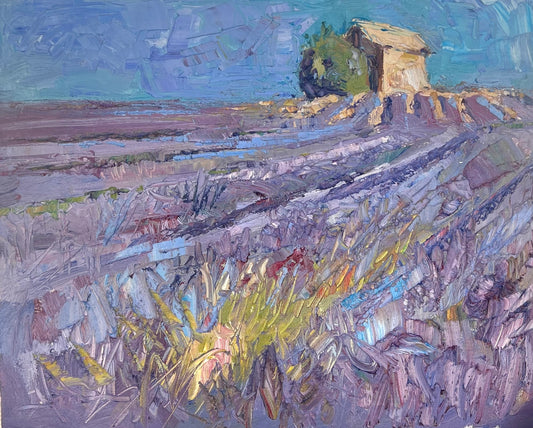 Sunny Lavender