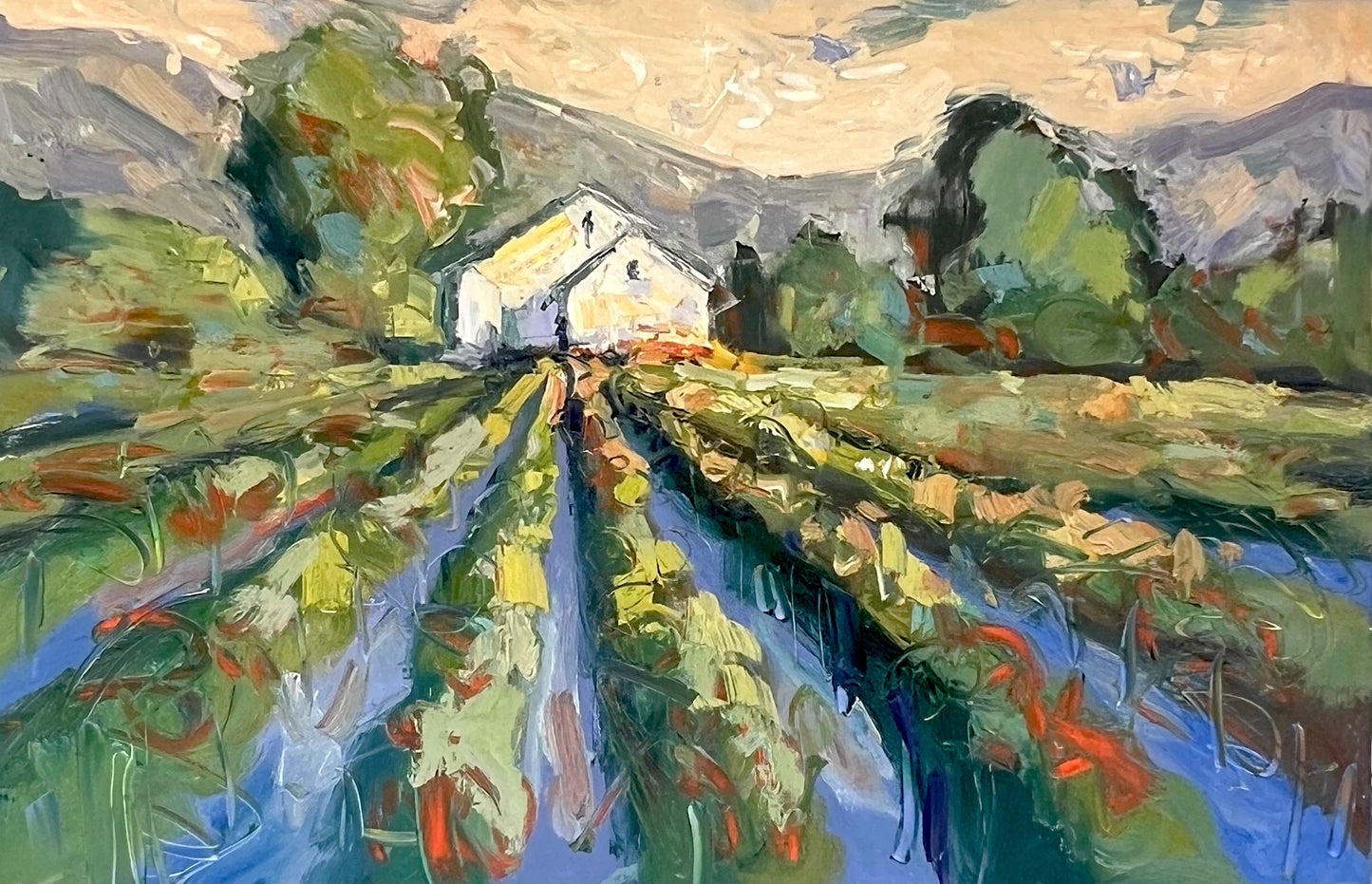 Sunset on Sonoma, California