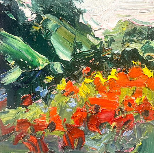 Wildflowers Landscape