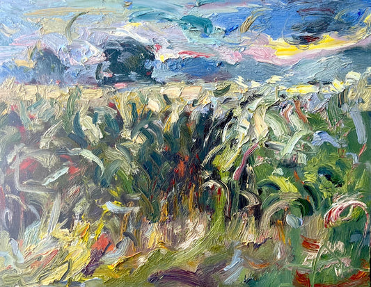 Windy Day - Summer Corn